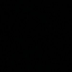 Meet your Posher, Zyrus